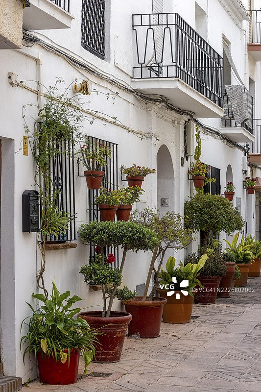 西班牙安达卢西亚马拉加省埃斯特波纳的老城区卡斯科安蒂瓜的一条街道,白色房屋墙壁上挂着几朵花卉糖果。图片素材