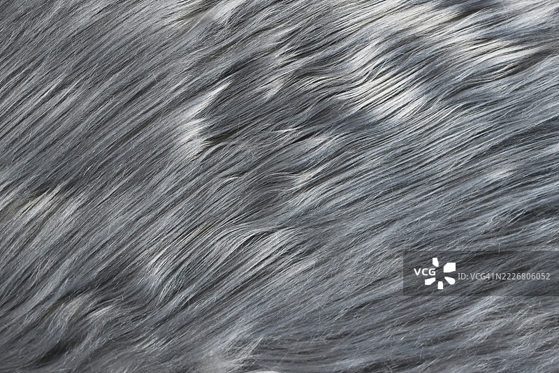 细腻的灰色合成假毛皮特写图片素材