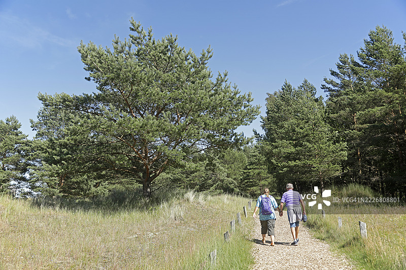 人们、行人、树木、草地、徒步小径，达尔瑟奥特，博恩，沃尔波默尔斯基海湾国家公园，梅克伦堡-前波美拉尼亚，德国图片素材