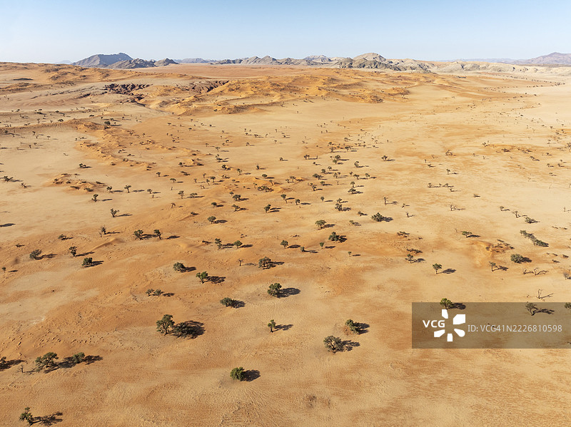 纳米布沙漠的松达布谷地,沙丘、骆驼刺树(Vachellia erioloba)和孤立的山脊。航拍视角。无人机拍摄。纳米比亚图片素材