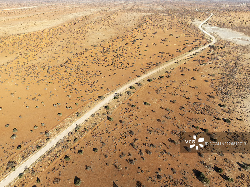 卡拉哈里沙漠中的碎石路，线性沙丘上生长着骆驼刺树（Vachellia erioloba）。鸟瞰图。无人机拍摄。纳米比亚图片素材
