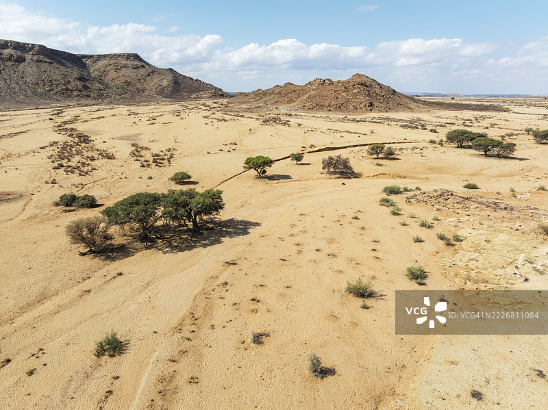 干旱平原和骆驼刺树（Vachellia erioloba）在冈多瓦纳峡谷公园。鸟瞰图。无人机拍摄。纳米比亚图片素材