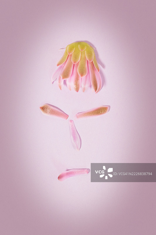 粉色背景上的糖果俯视图，罗马，拉齐奥，意大利图片素材