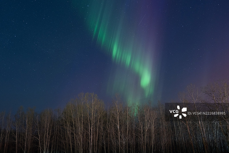 夜空下阿尔伯塔省的田野美景图片素材
