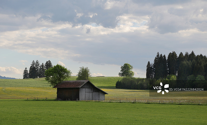 德国巴伐利亚，天空下的田野树木图片素材