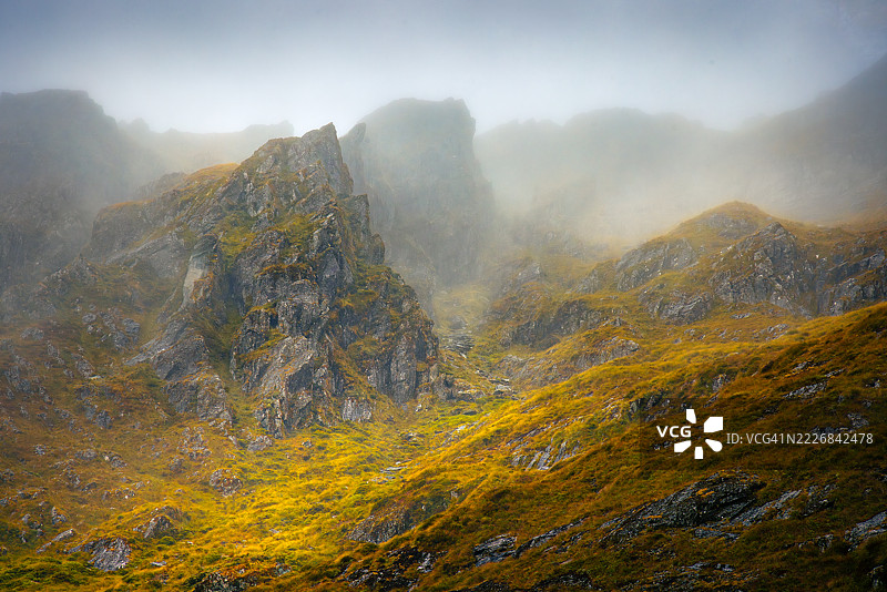 阴影之间的光 - 路特本步道，菲ordland，新西兰，菲ordland国家公园，南地，新西兰图片素材