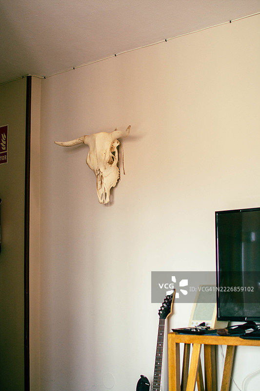 现代公寓墙上挂着牛头骨图片素材