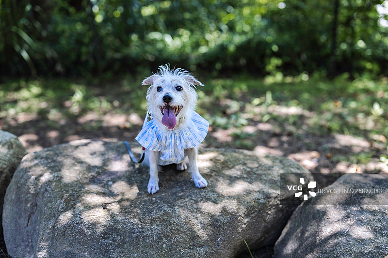 山上的夏季避难所图片素材