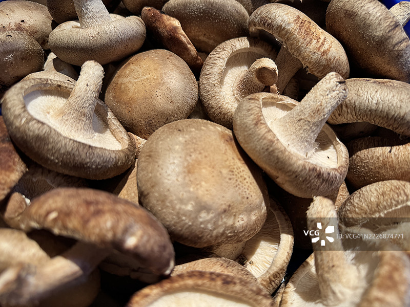 新鲜香菇在农贸市场出售的特写镜头图片素材