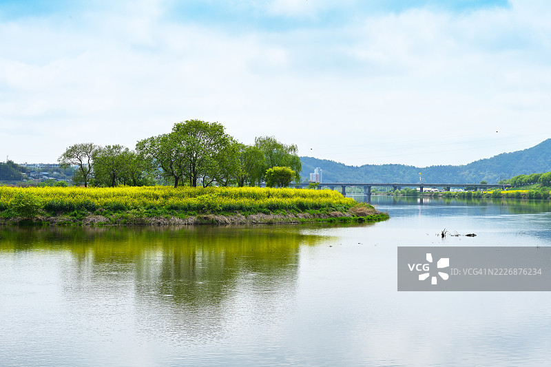 全南，罗州市，永山河，油菜花图片素材