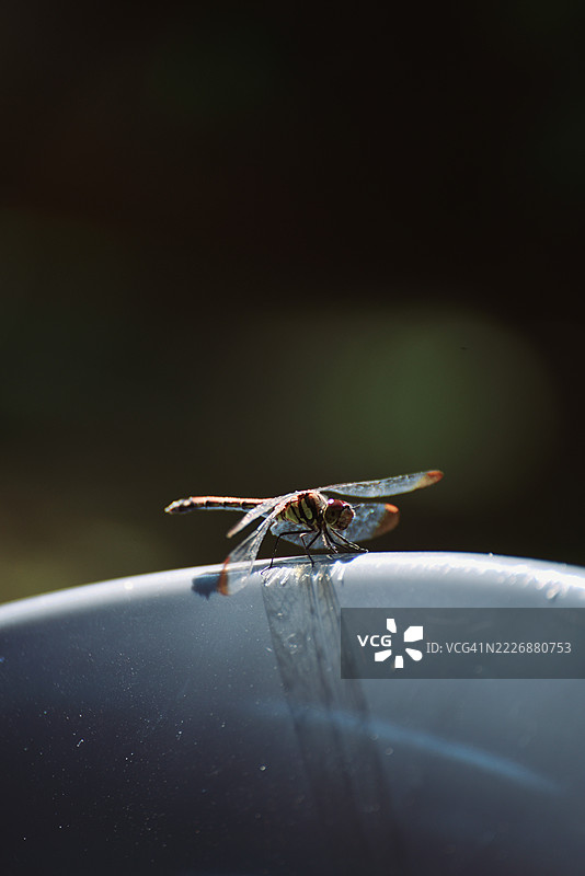 京畿道高阳，站子里图片素材