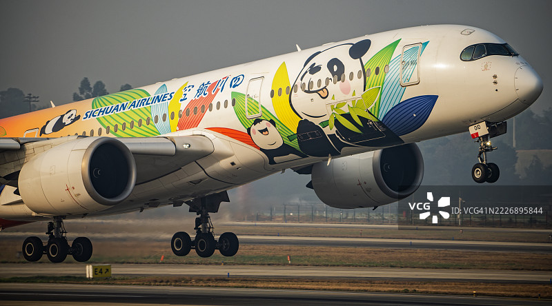 中国飞机上的熊猫主题画作图片素材