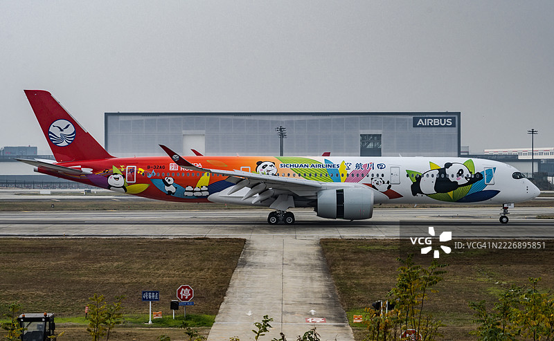 中国飞机上的熊猫主题画作图片素材