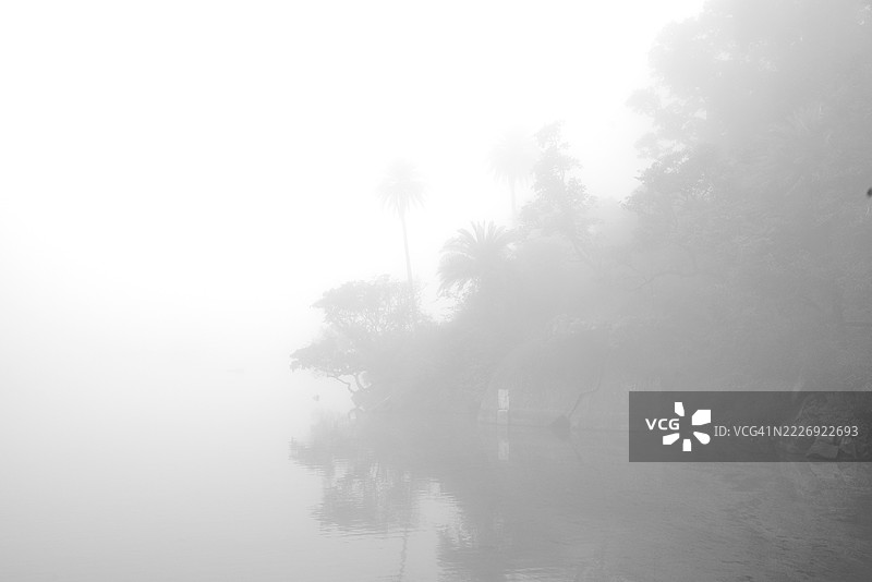 背景抽象朦胧宁静自然简约壁纸柔和戏剧性背景图片素材