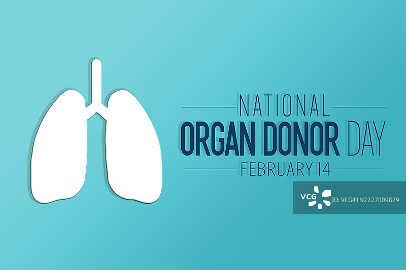 国家器官捐献日背景。图片素材