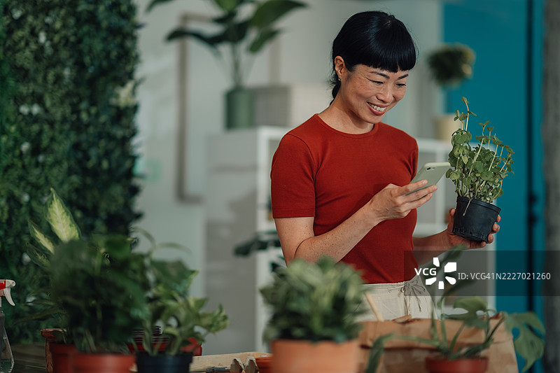 女性在植物店使用智能手机识别植物图片素材