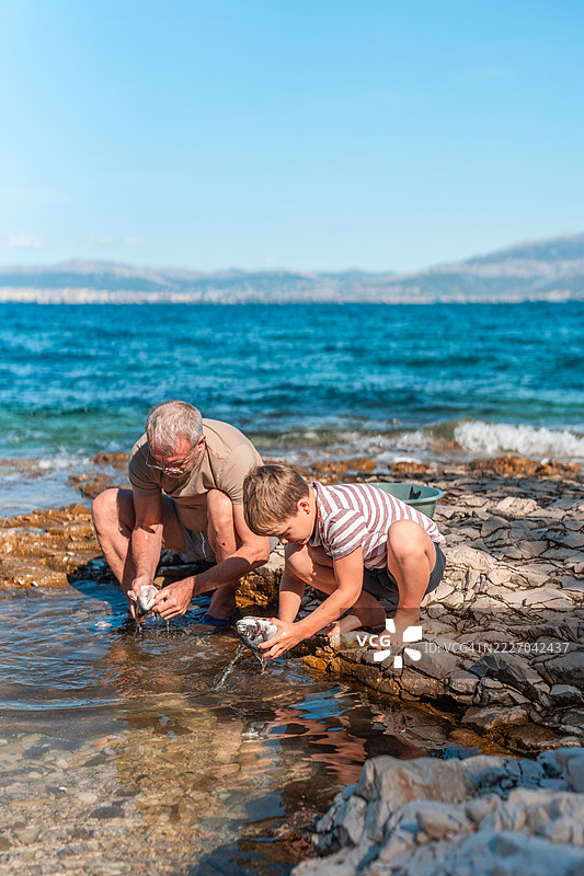 白人祖父和孙子在岩石海岸清理鱼类图片素材