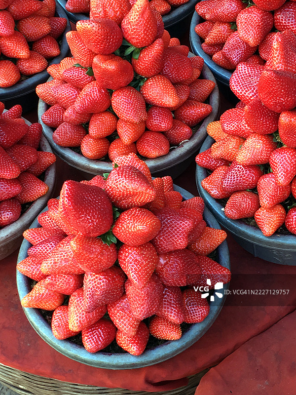 马哈巴雷什瓦尔的草莓图片素材