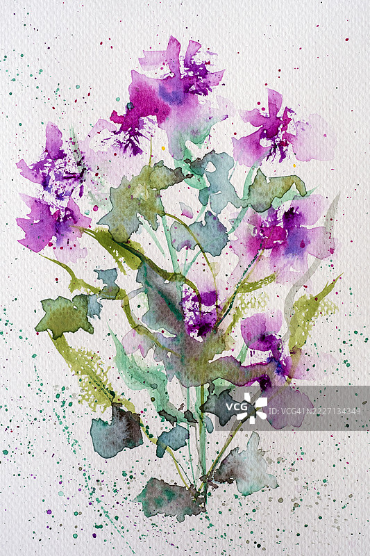 水彩花卉画图片素材