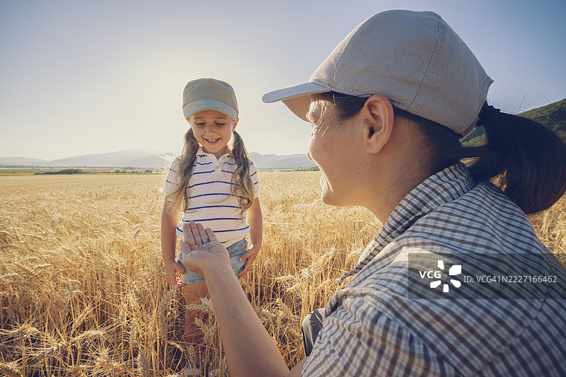 农民妈妈在麦田里向孩子展示小麦粒。可持续农业图片素材