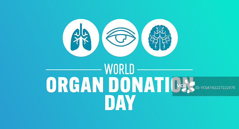 渐变蓝色背景上的世界器官捐献日。图片素材