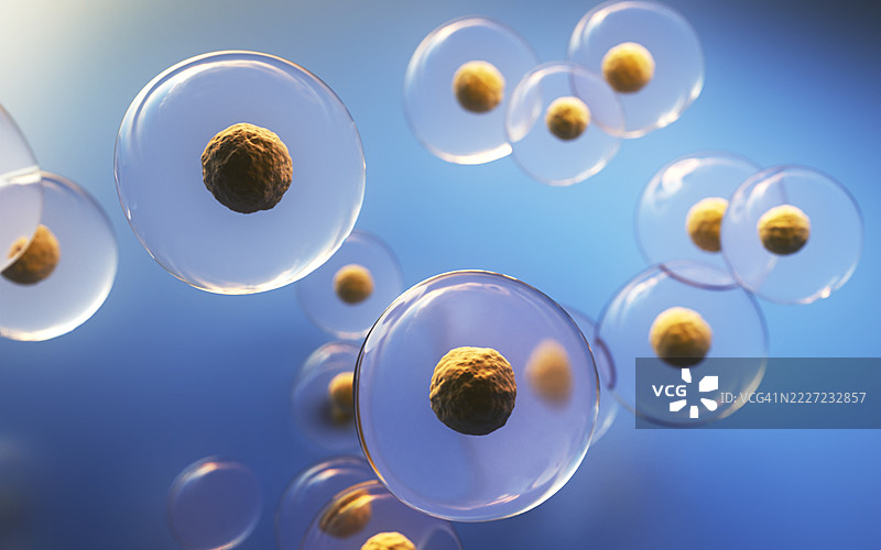 人类胚胎干细胞，景深效果图片素材