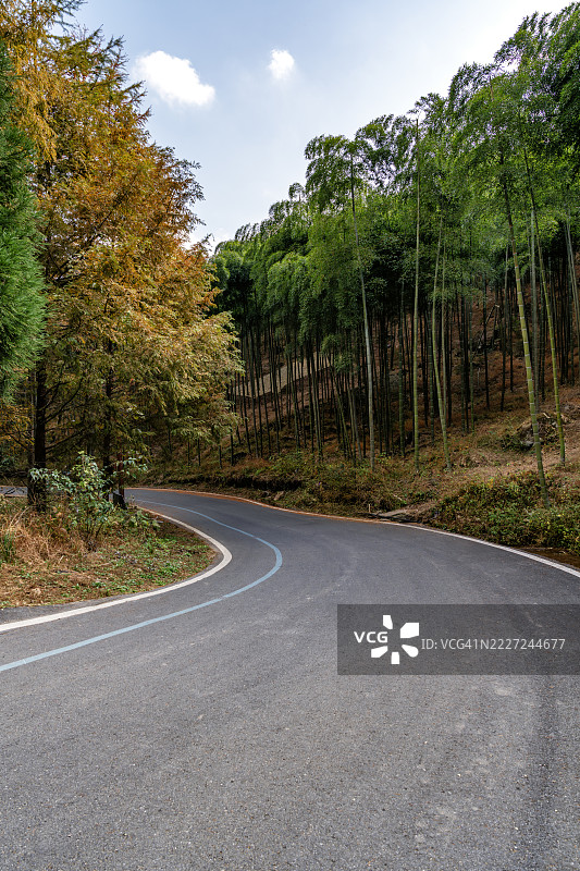 秋季森林中的蜿蜒小路图片素材