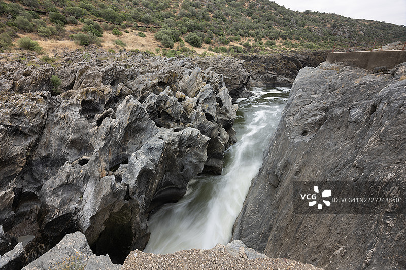 狼跳，瓜迪亚纳图片素材