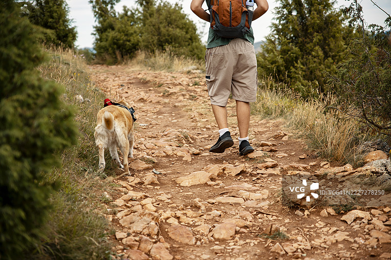 在徒步小径上与狗一起的男人图片素材
