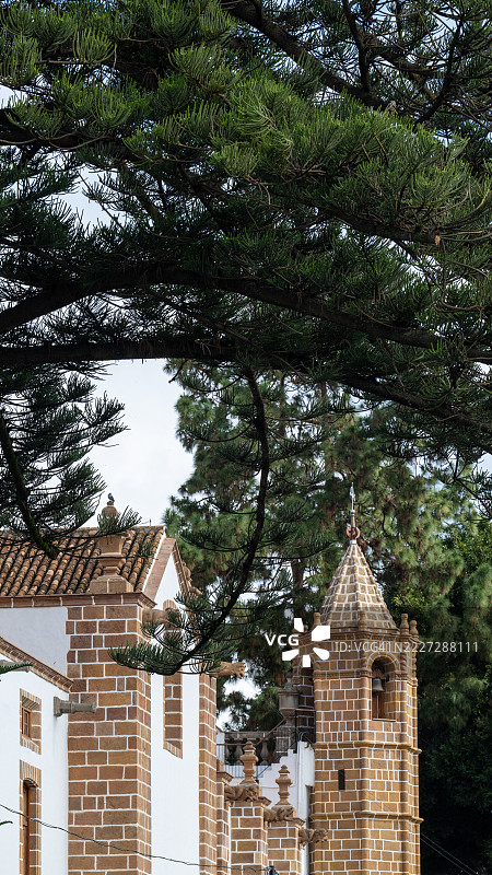 阿劳卡里亚树和加那利松树环绕着特罗尔的圣母皮诺大教堂，格兰卡纳里亚岛图片素材