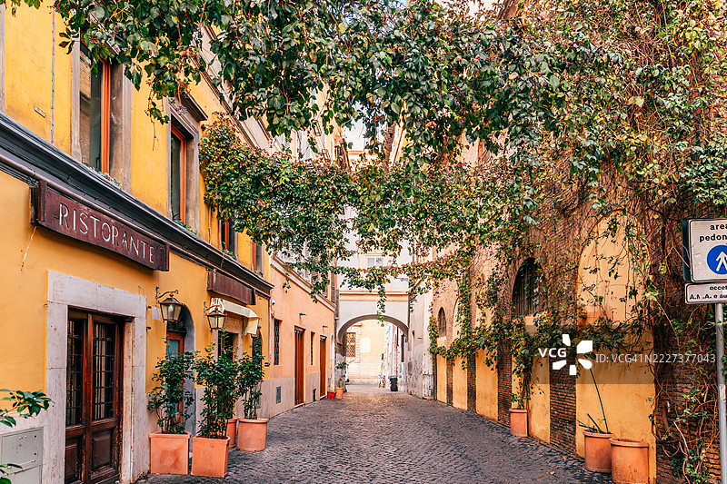 罗马，意大利，特拉斯提弗列区狭窄的小巷被绿色植物覆盖图片素材