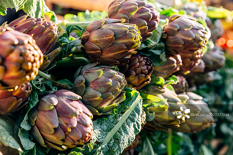 在意大利罗马的Campo de' Fiori出售新鲜的朝鲜蓟图片素材