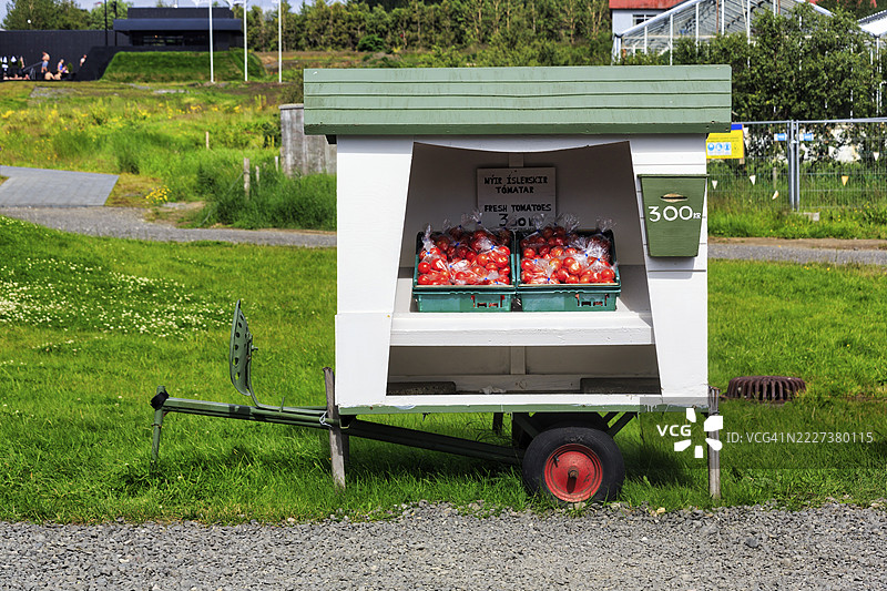 草地上的摊位,两个装有新鲜本地番茄的箱子,这些番茄来自利用地热能加热的温室,位于冰岛的德尔达尔通赫温泉,雷克霍特,雷克霍尔茨达尔。图片素材