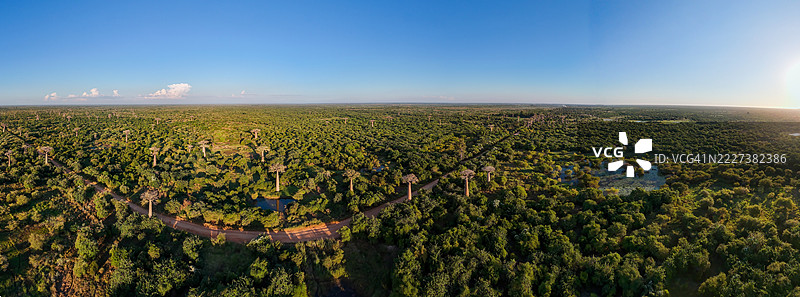 马达加斯加日落时分的猴面包树大道 – 空中视角图片素材