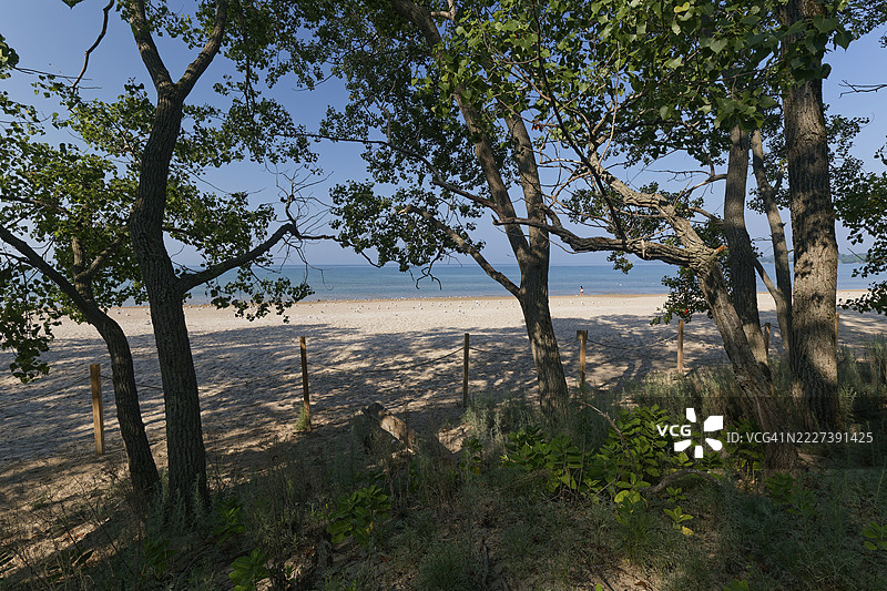 安大略省，加拿大，安大略湖，爱德华王子县，桑德班克省立公园的森林和海滩图片素材