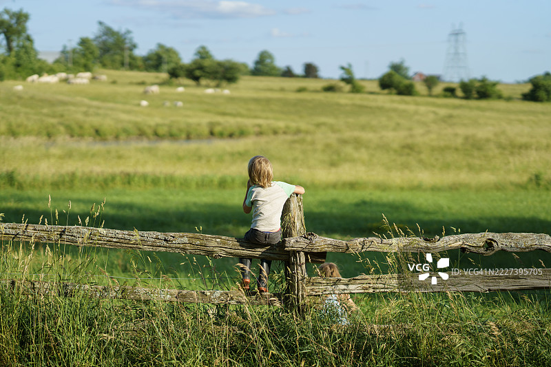 孩子在阳光明媚的日子里探索风景如画的乡村农场景观图片素材