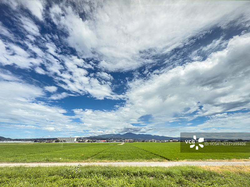 日本长崎的稻田图片素材