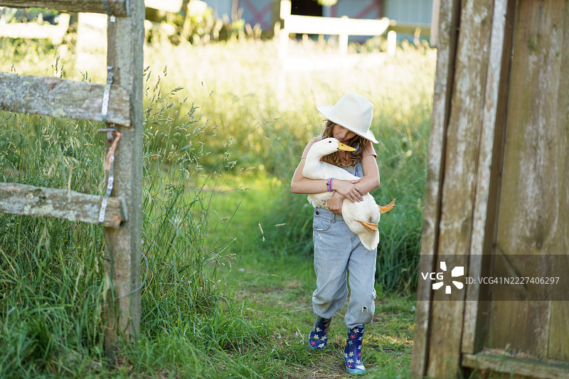 阳光明媚的乡村农场环境中，年轻女孩抱着一只鸭子图片素材