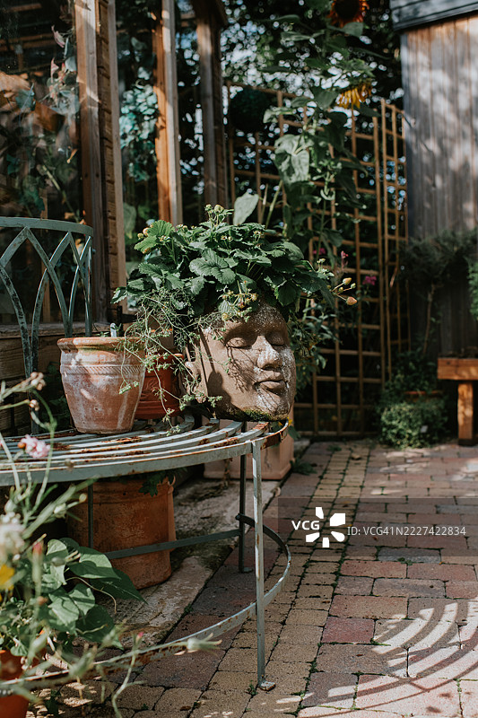 一株草莓植物在一个新奇的面孔花盆中生长，周围是郁郁葱葱的花园，旁边有一个时尚的温室和铺砖的露台。图片素材