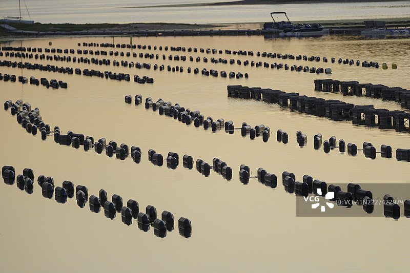 加拿大爱德华王子岛的水产养殖全景图图片素材