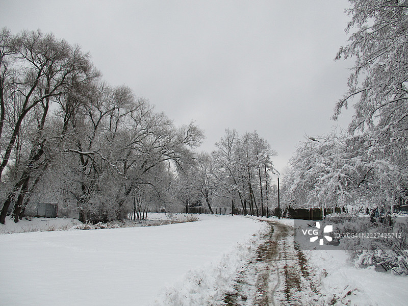 波兰雪覆盖的田野上的树木与天空相映。图片素材