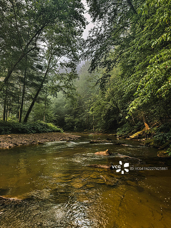 森林中的河流风景，埃马莱娜，肯塔基州，美国图片素材