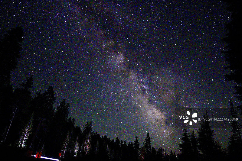 夜空下树木剪影的低角度视图，俄勒冈州，美国图片素材