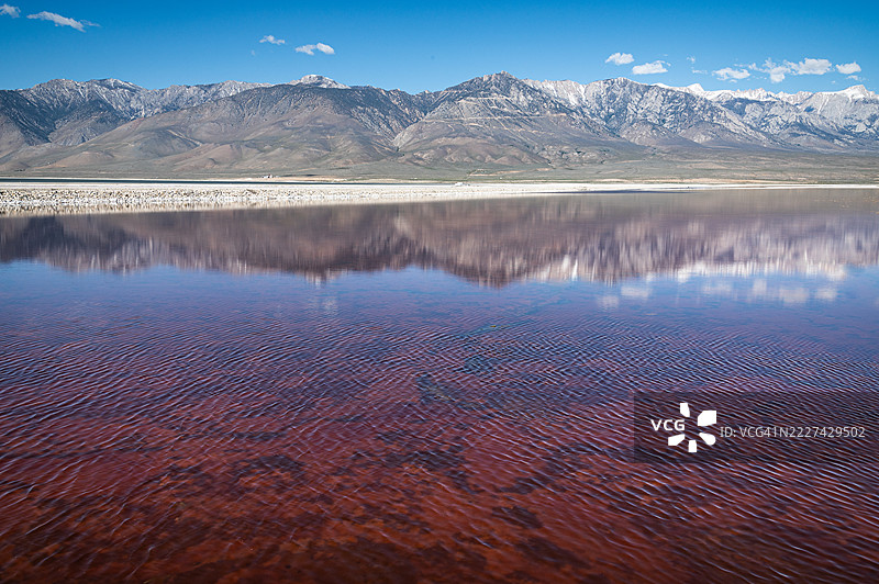 欧文斯湖与盐生植物图片素材