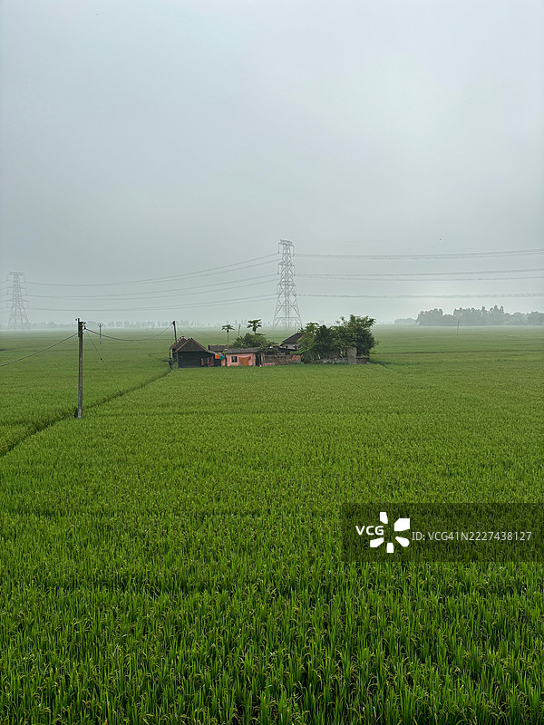 印度西孟加拉邦加尔各答的天空下的田野美景图片素材