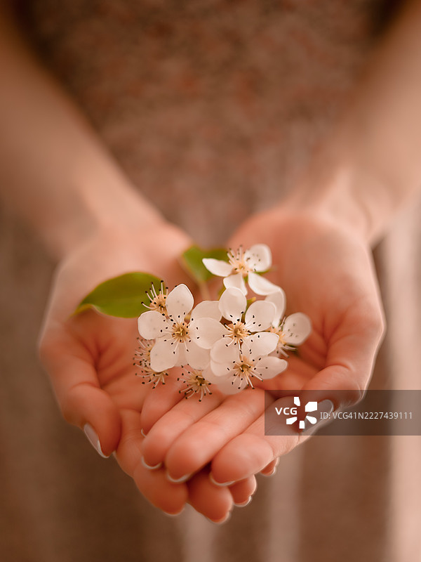 波兰奥尔什丁一位女性手持鲜花的中部特写图片素材