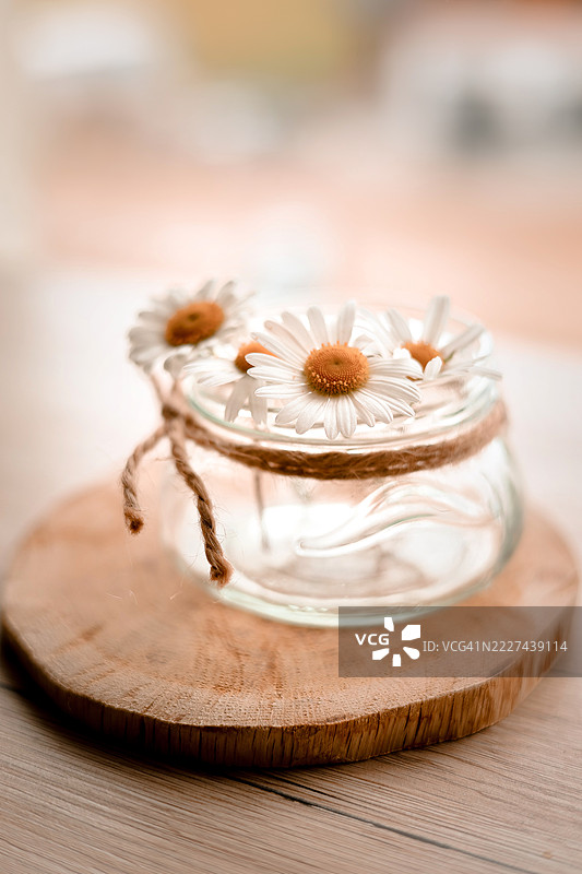 桌子上的花朵特写，波兰奥尔什丁图片素材