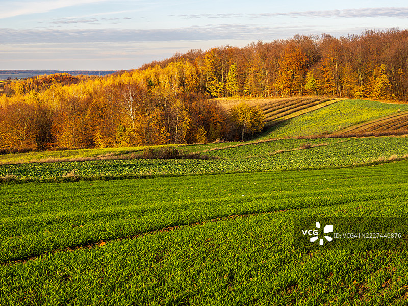 波兰卢布林省罗兹托切的秋季农业风光，戈赖，卢贝尔斯基，波兰图片素材