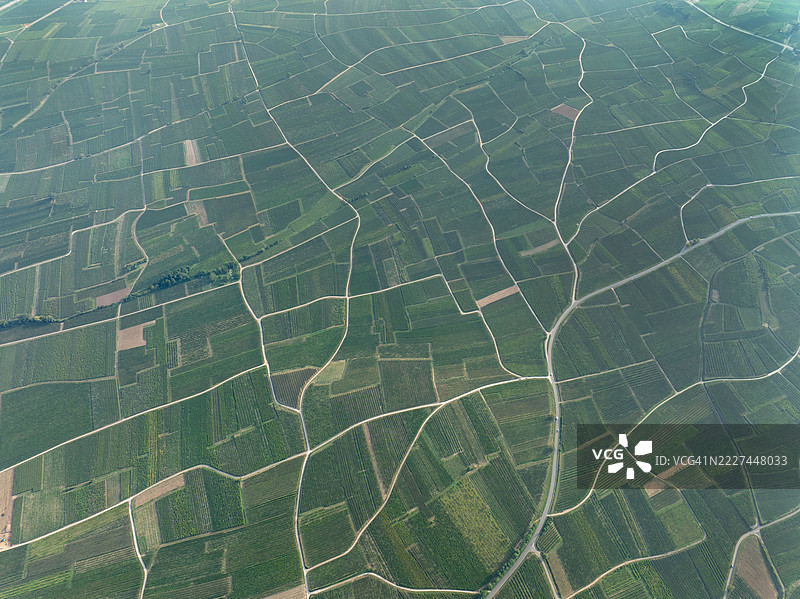 法国大东部地区埃吉斯海姆的农业田野鸟瞰图图片素材