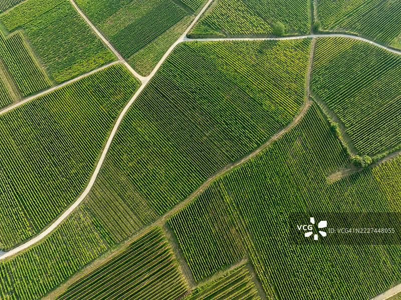 法国大东部地区哈特施塔特的农场全景照片图片素材